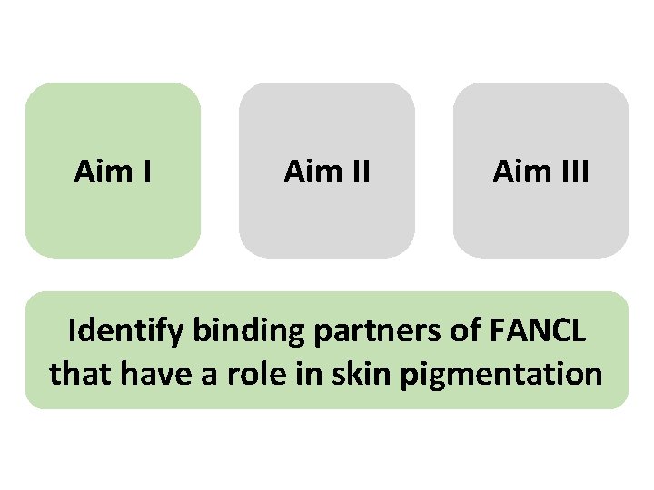 Aim III Identify binding partners of FANCL that have a role in skin pigmentation