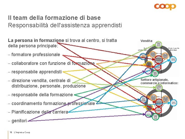 Il team della formazione di base Responsabilità dell'assistenza apprendisti La persona in formazione si