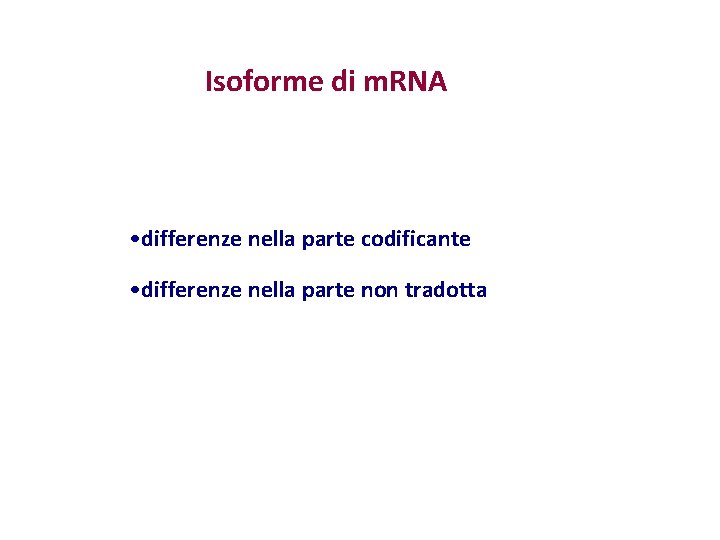 Isoforme di m. RNA • differenze nella parte codificante • differenze nella parte non