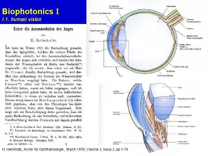 Helmholtz Vision Diagnostics Vision