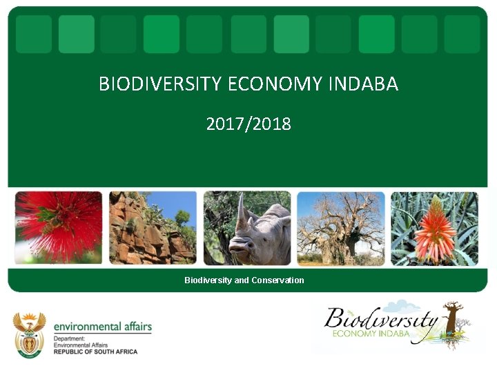 BIODIVERSITY ECONOMY INDABA 2017/2018 Biodiversity and Conservation 