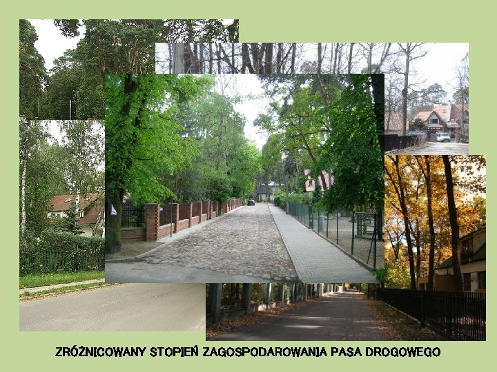 ZRÓŻNICOWANY STOPIEŃ ZAGOSPODAROWANIA PASA DROGOWEGO 