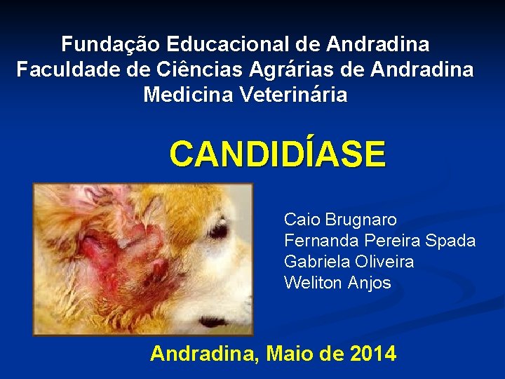 Fundação Educacional de Andradina Faculdade de Ciências Agrárias de Andradina Medicina Veterinária CANDIDÍASE Caio