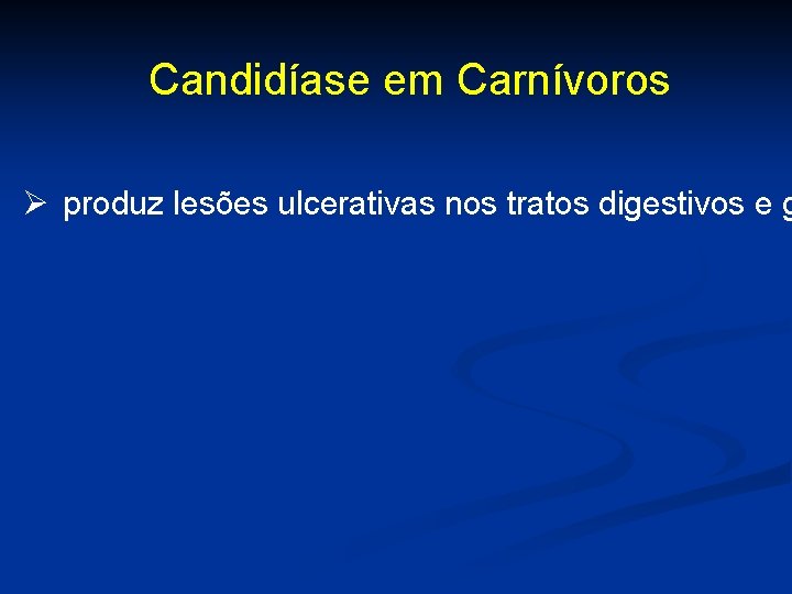 Candidíase em Carnívoros Ø produz lesões ulcerativas nos tratos digestivos e g 