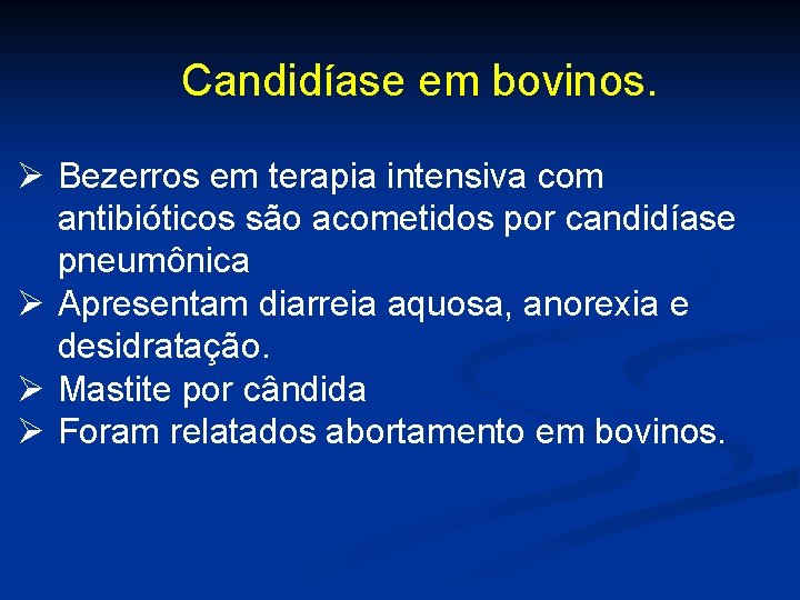 Candidíase em bovinos. Ø Bezerros em terapia intensiva com antibióticos são acometidos por candidíase