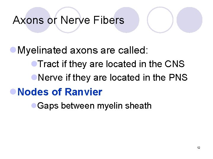 Axons or Nerve Fibers l. Myelinated axons are called: l. Tract if they are