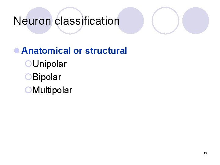 Neuron classification l Anatomical or structural ¡Unipolar ¡Bipolar ¡Multipolar 13 