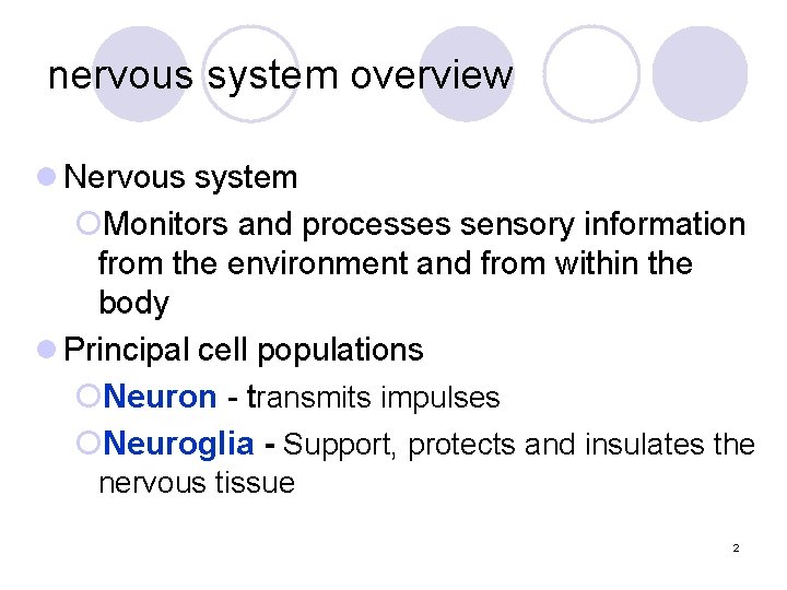 nervous system overview l Nervous system ¡Monitors and processes sensory information from the environment
