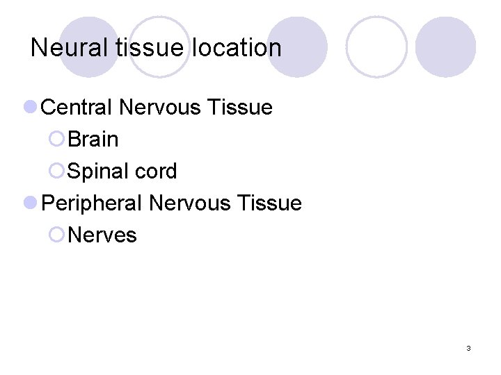 Neural tissue location l Central Nervous Tissue ¡Brain ¡Spinal cord l Peripheral Nervous Tissue