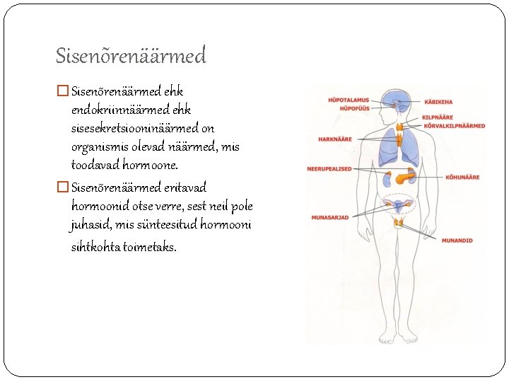 Sisenõrenäärmed � Sisenõrenäärmed ehk endokriinnäärmed ehk sisesekretsiooninäärmed on organismis olevad näärmed, mis toodavad hormoone.