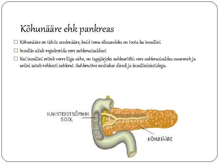 Kõhunääre ehk pankreas � Kõhunääre on tähtis seedenääre, kuid tema ülesandeks on toota ka