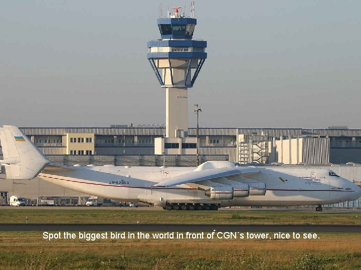 Spot the biggest bird in the world in front of CGN´s tower, nice to