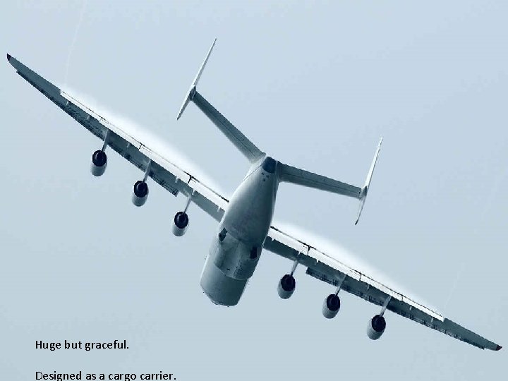 Huge but graceful. Designed as a cargo carrier. 