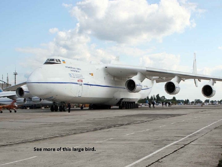 See more of this large bird. 