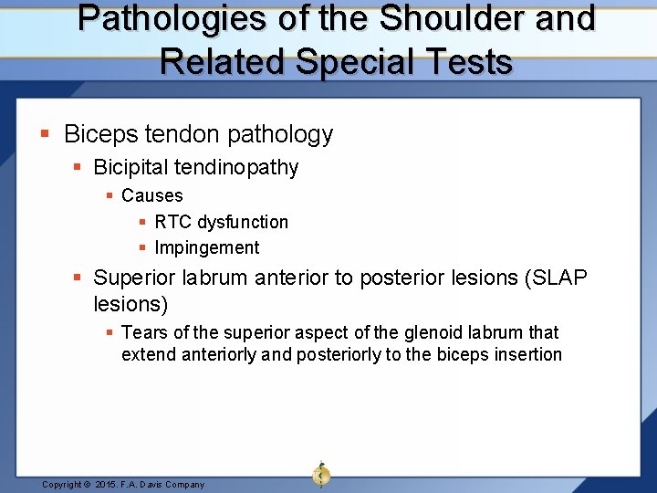 Pathologies of the Shoulder and Related Special Tests § Biceps tendon pathology § Bicipital