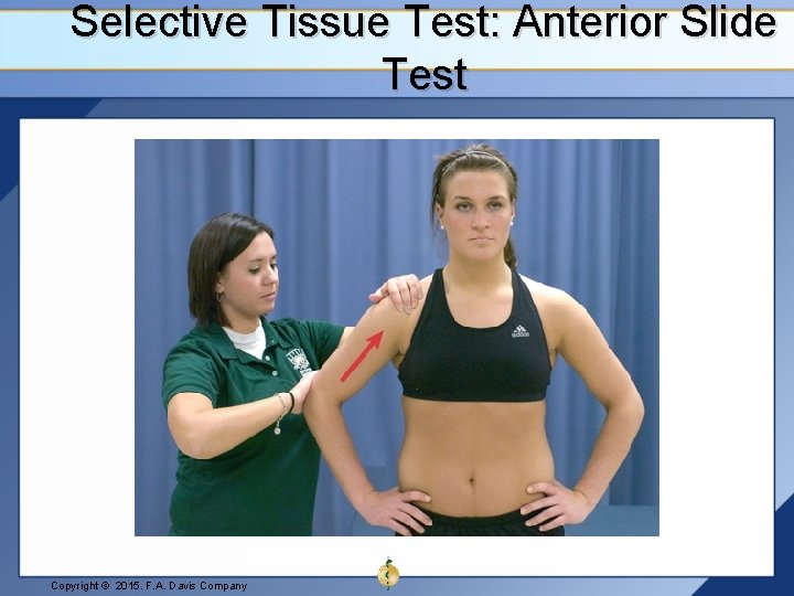 Selective Tissue Test: Anterior Slide Test Copyright © 2015. F. A. Davis Company 