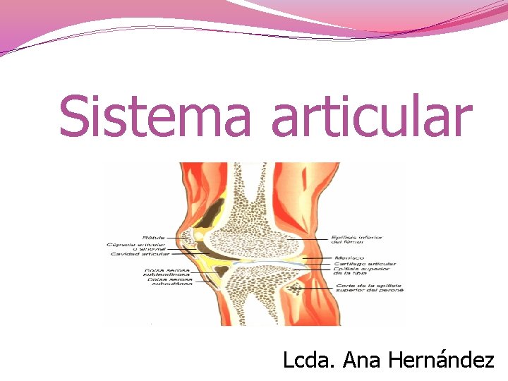 Sistema articular Lcda. Ana Hernández 