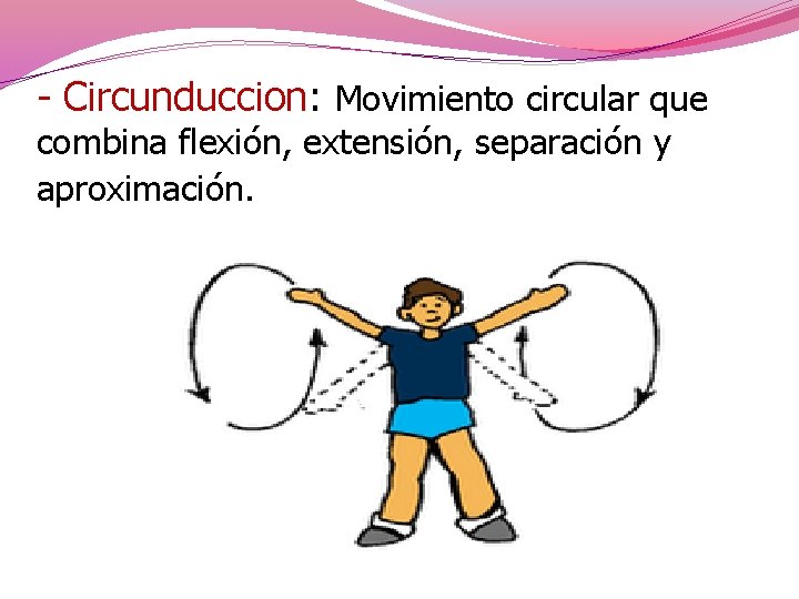- Circunduccion: Movimiento circular que combina flexión, extensión, separación y aproximación. 