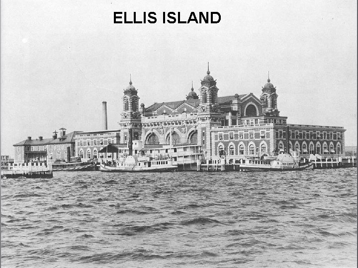 ELLIS ISLAND 