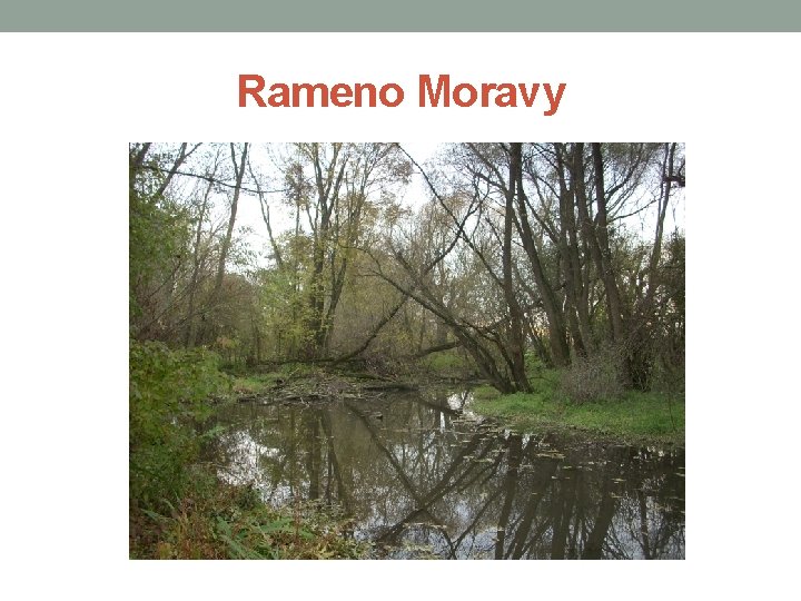 Rameno Moravy 