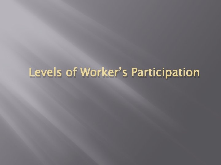 Levels of Worker’s Participation 