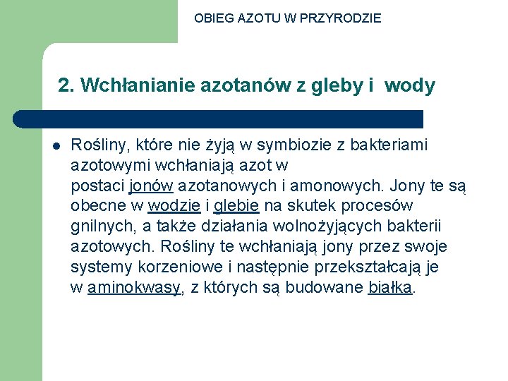 OBIEG AZOTU W PRZYRODZIE 2. Wchłanianie azotanów z gleby i wody l Rośliny, które