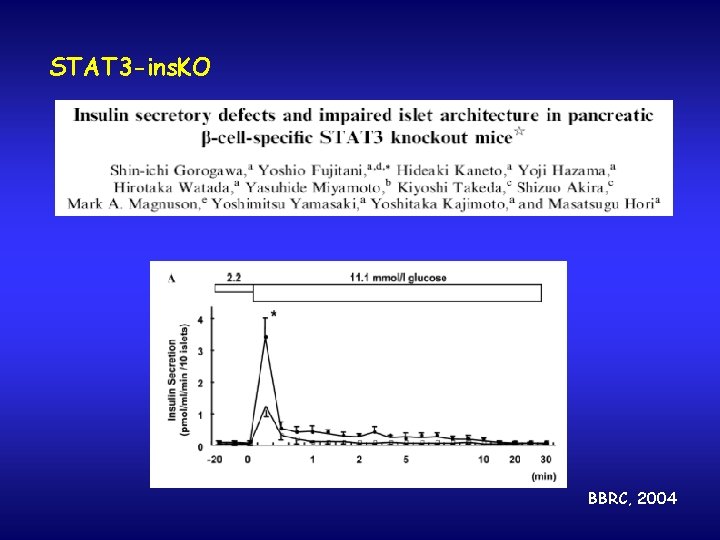 STAT 3 -ins. KO BBRC, 2004 