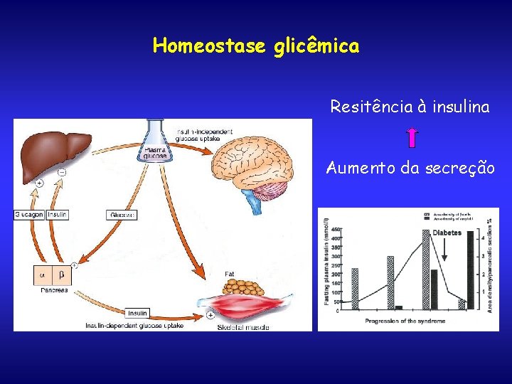 Homeostase glicêmica Resitência à insulina Aumento da secreção 