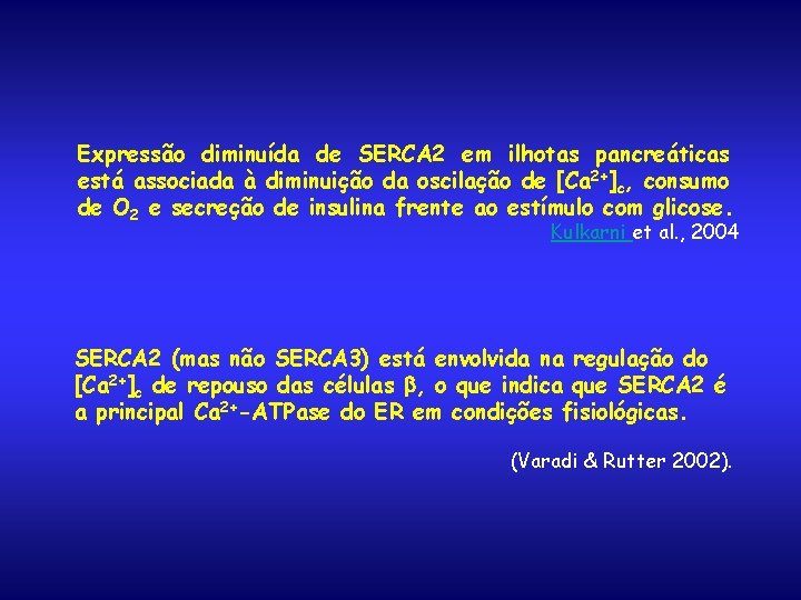 Expressão diminuída de SERCA 2 em ilhotas pancreáticas está associada à diminuição da oscilação