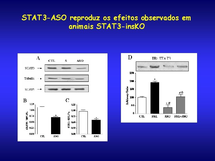 STAT 3 -ASO reproduz os efeitos observados em animais STAT 3 -ins. KO 