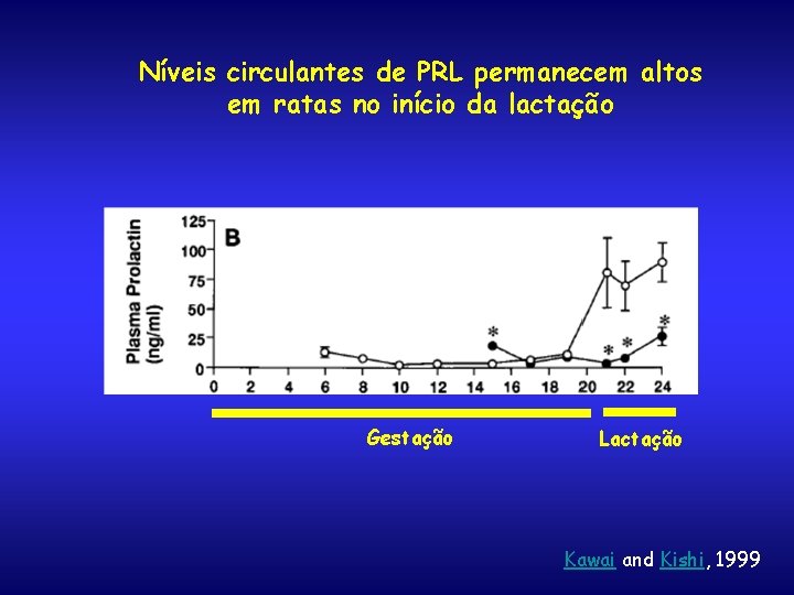 Níveis circulantes de PRL permanecem altos em ratas no início da lactação Gestação Lactação