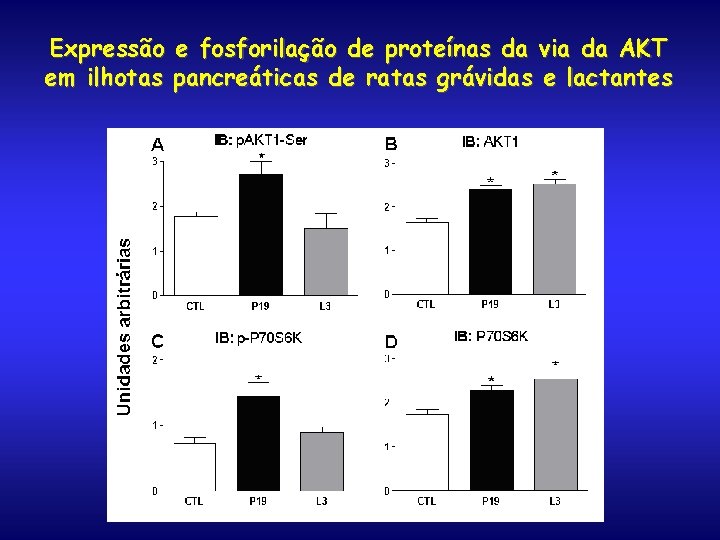 Expressão e fosforilação de proteínas da via da AKT em ilhotas pancreáticas de ratas