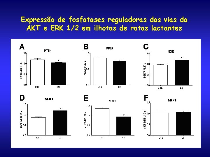 Expressão de fosfatases reguladoras das vias da AKT e ERK 1/2 em ilhotas de