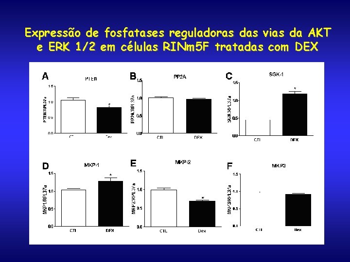 Expressão de fosfatases reguladoras das vias da AKT e ERK 1/2 em células RINm