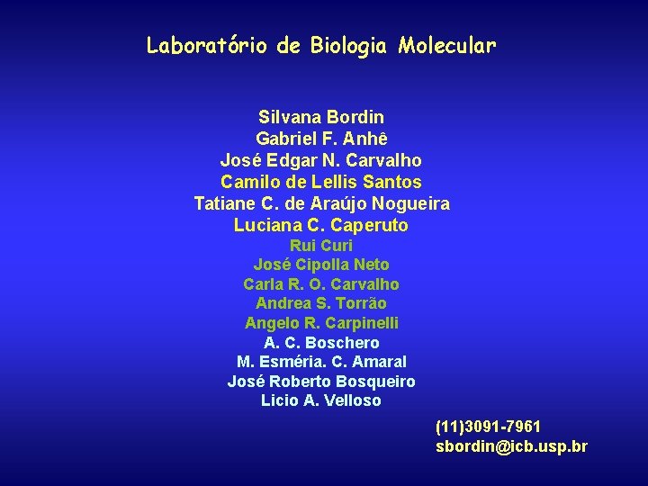 Laboratório de Biologia Molecular Silvana Bordin Gabriel F. Anhê José Edgar N. Carvalho Camilo