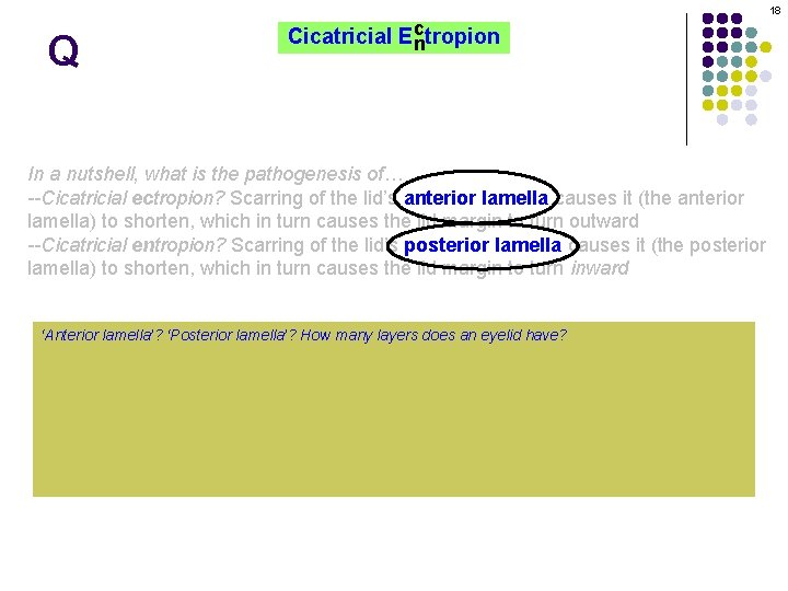 18 Q c Cicatricial Ectropion n In a nutshell, what is the pathogenesis of…