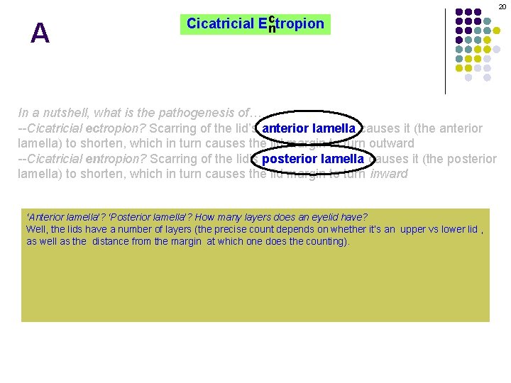 20 A c Cicatricial Ectropion n In a nutshell, what is the pathogenesis of…