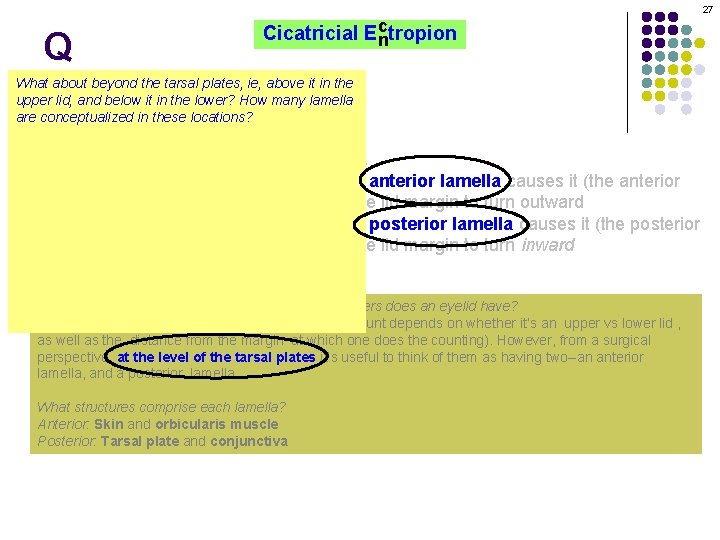 27 Q c Cicatricial Ectropion n What about beyond the tarsal plates, ie, above