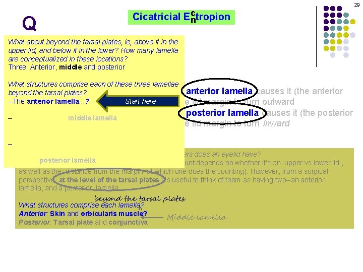 29 Q c Cicatricial Ectropion n What about beyond the tarsal plates, ie, above