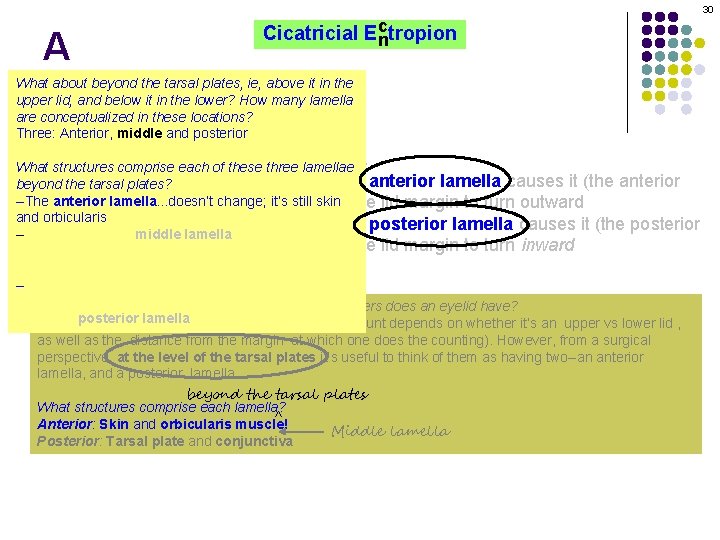 30 A c Cicatricial Ectropion n What about beyond the tarsal plates, ie, above