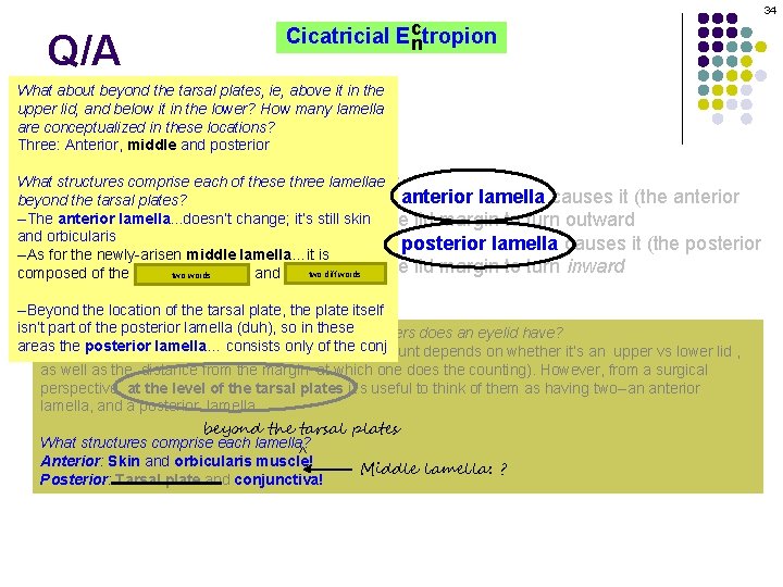 34 Q/A c Cicatricial Ectropion n What about beyond the tarsal plates, ie, above