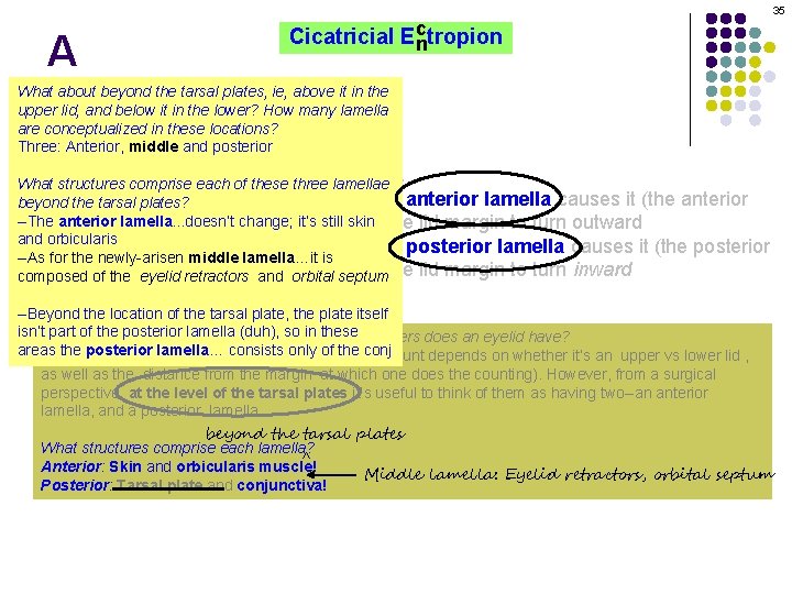 35 A c Cicatricial Ectropion n What about beyond the tarsal plates, ie, above