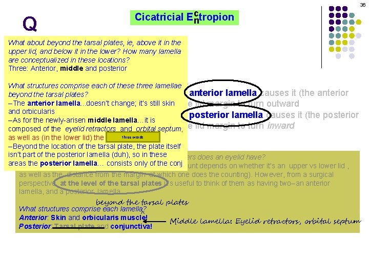 36 Q c Cicatricial Ectropion n What about beyond the tarsal plates, ie, above