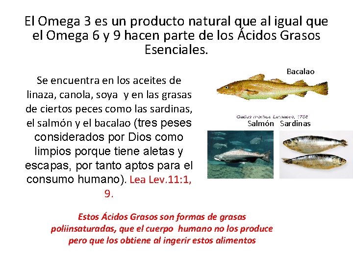 El Omega 3 es un producto natural que al igual que el Omega 6