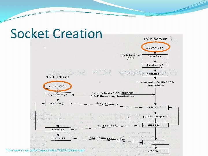 Socket Creation From: www. cs. gsu. edu/~sguo/slides/3320/Sockets. ppt 