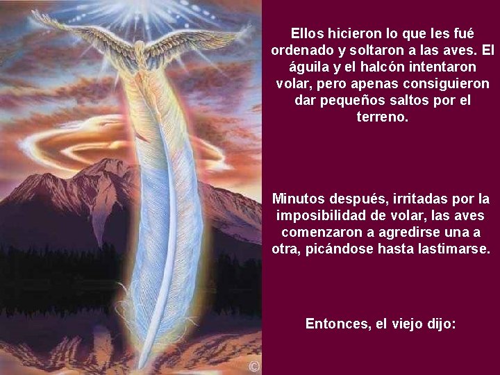 Ellos hicieron lo que les fué ordenado y soltaron a las aves. El águila Ellos hicieron lo que les fué ordenado y soltaron a las aves. El águila