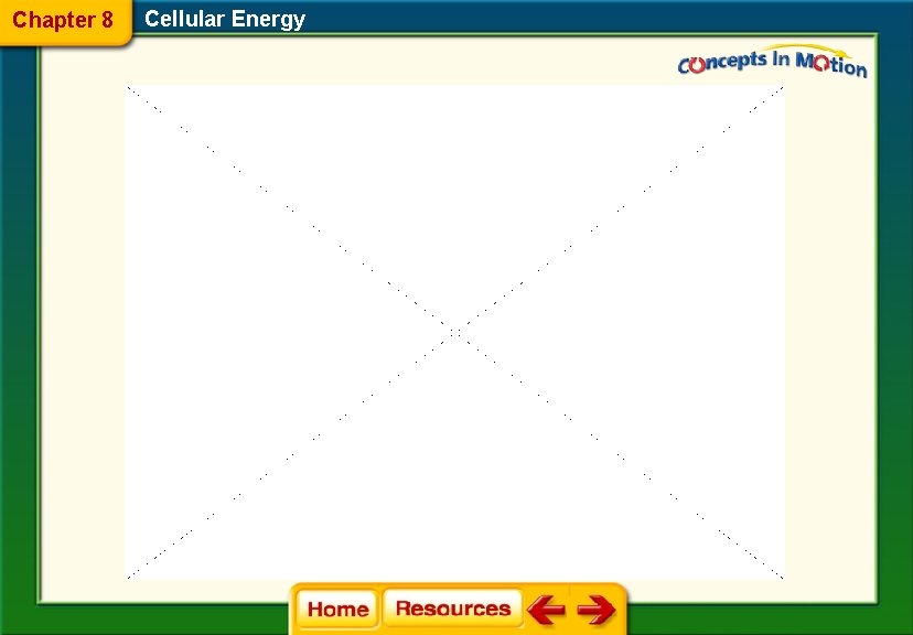 Chapter 8 Cellular Energy 