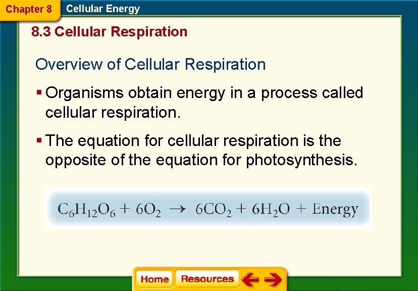 Chapter 8 Cellular Energy 8. 3 Cellular Respiration Overview of Cellular Respiration § Organisms