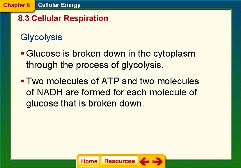 Chapter 8 Cellular Energy 8. 3 Cellular Respiration Glycolysis § Glucose is broken down