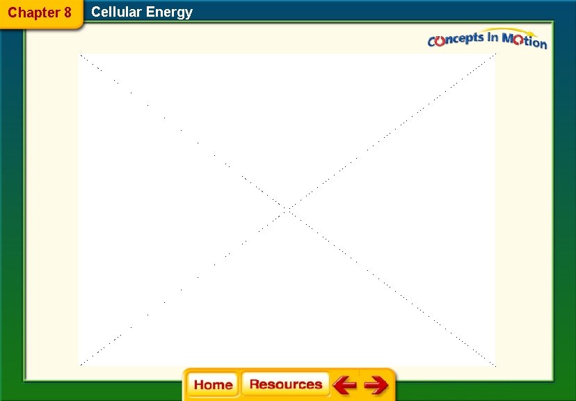 Chapter 8 Cellular Energy 